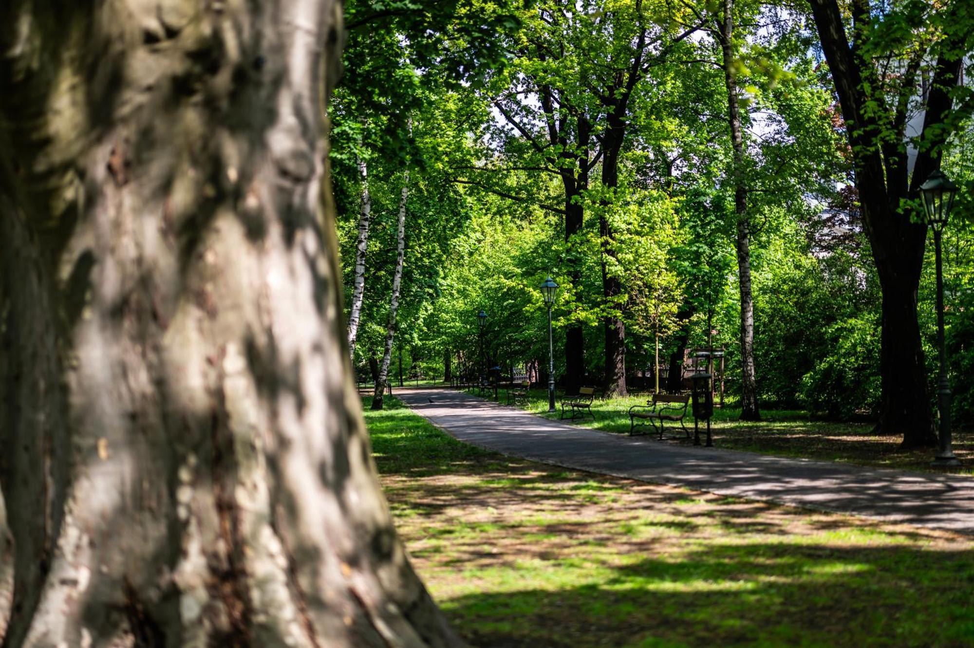 Appartamento Neapol Parking Gratis Moxy Te&Am Cracow Cracovia Esterno foto